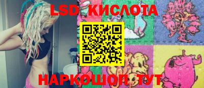 дмт Камышлов