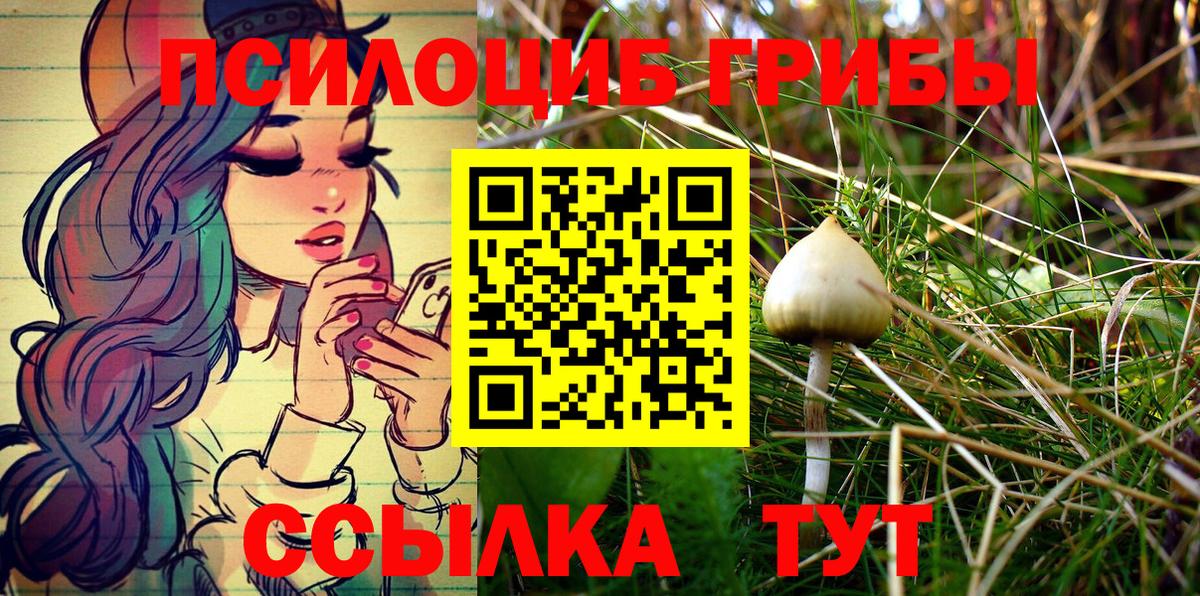 Псилоцибиновые грибы Psilocybe Лабытнанги